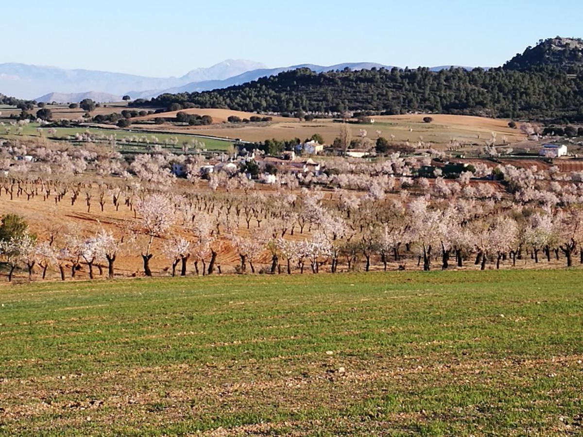 Cortijo Los Soledad El Sauco Exterior foto