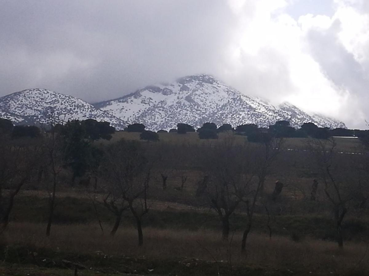 Cortijo Los Soledad El Sauco Exterior foto