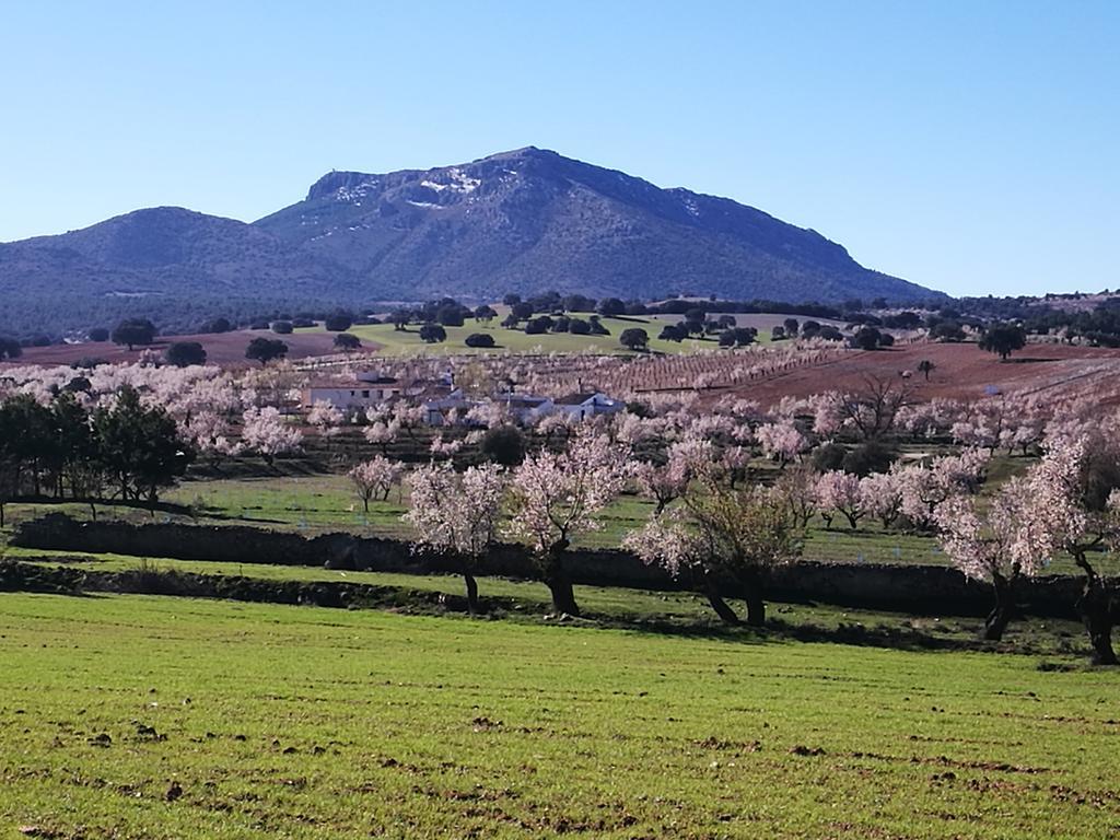 Cortijo Los Soledad El Sauco Exterior foto