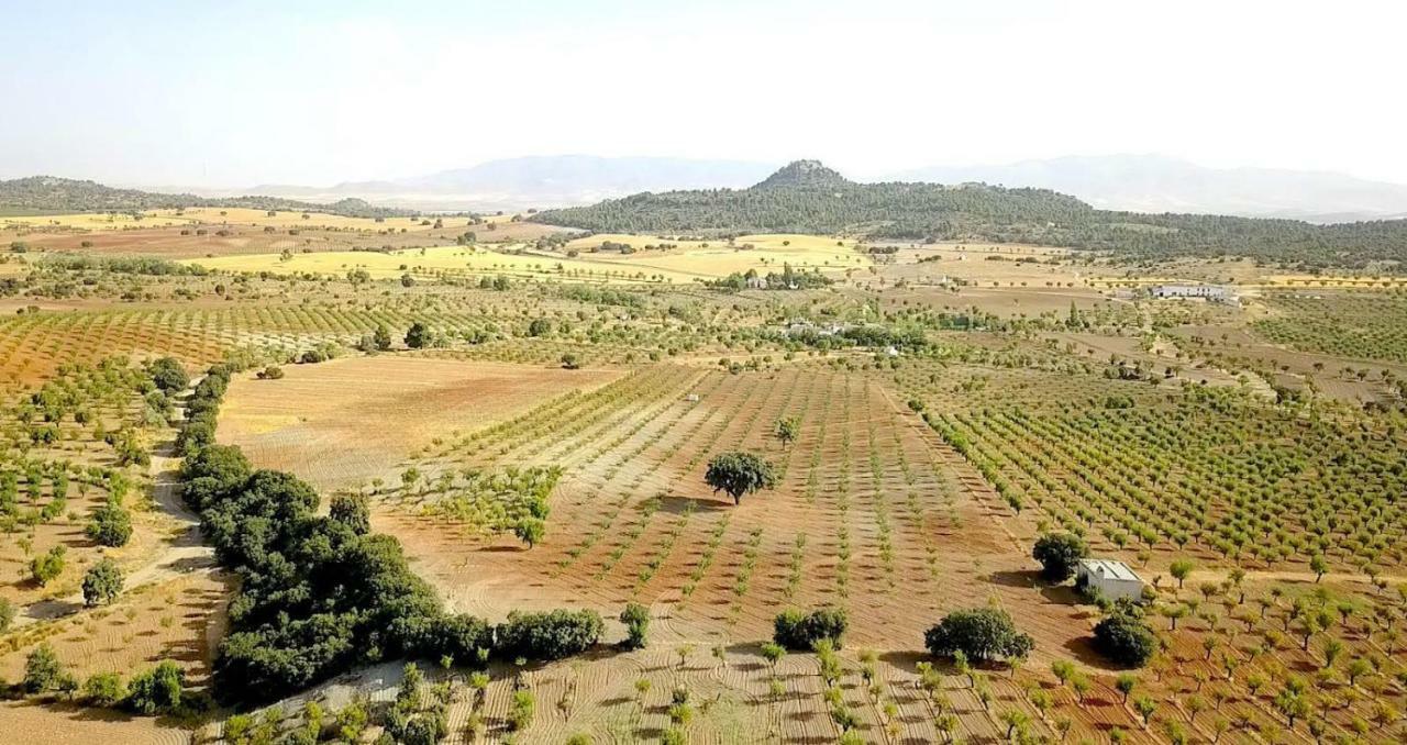 Cortijo Los Soledad El Sauco Exterior foto
