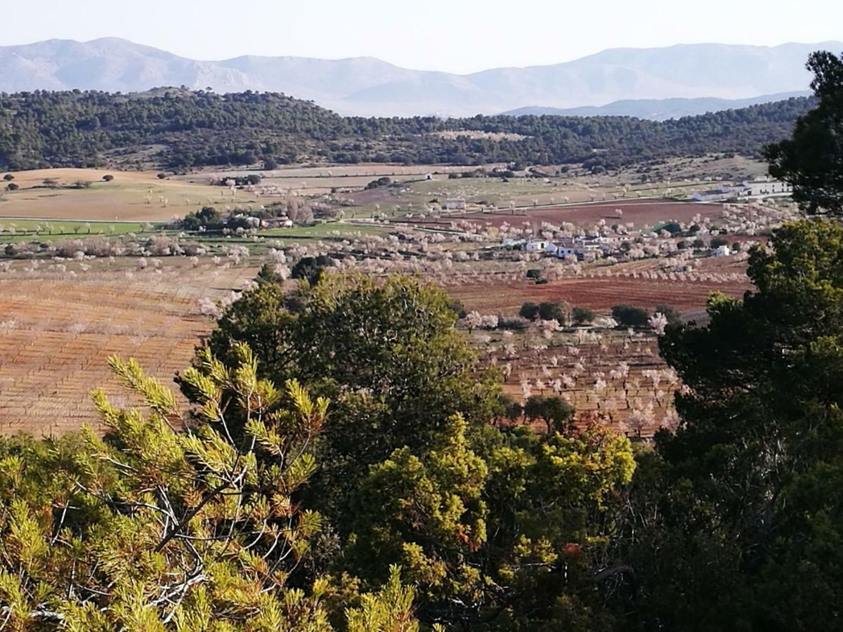 Cortijo Los Soledad El Sauco Exterior foto